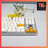  Keycap Queen Sea | Profile Cherry | PBT Dyesub | Nút bàn phím cơ | TKS 