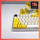  Keycap Beevil | Profile XDA | PBT Dyesub | Nút bàn phím cơ | TKS 