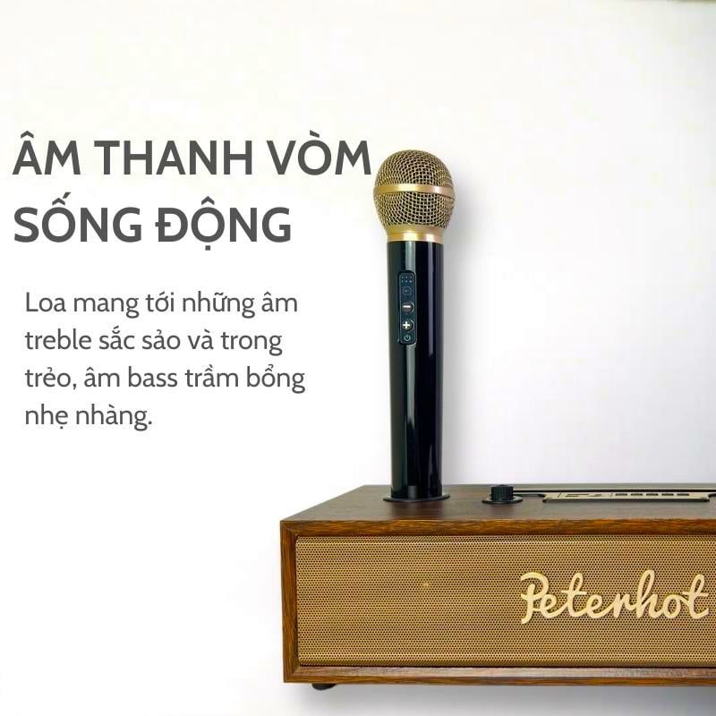 Loa karaoke bluetooth Peterhot A100 DIBESMART  kèm micro bảo hành 12 tháng