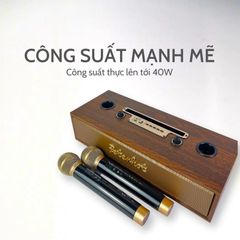 Loa karaoke bluetooth Peterhot A100 DIBESMART  kèm micro bảo hành 12 tháng