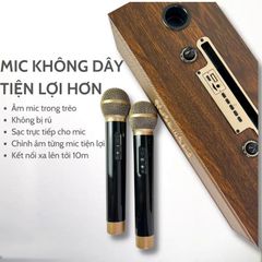 Loa karaoke bluetooth Peterhot A100 DIBESMART  kèm micro bảo hành 12 tháng