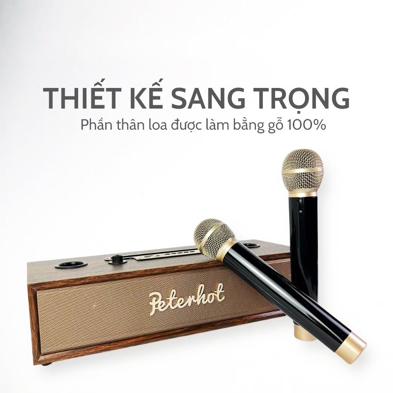 Loa karaoke bluetooth Peterhot A100 DIBESMART  kèm micro bảo hành 12 tháng