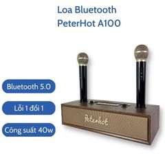 Loa karaoke bluetooth Peterhot A100 DIBESMART  kèm micro bảo hành 12 tháng