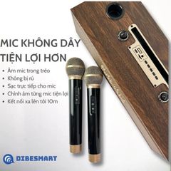 Loa karaoke bluetooth Peterhot A100 DIBESMART  kèm micro bảo hành 12 tháng