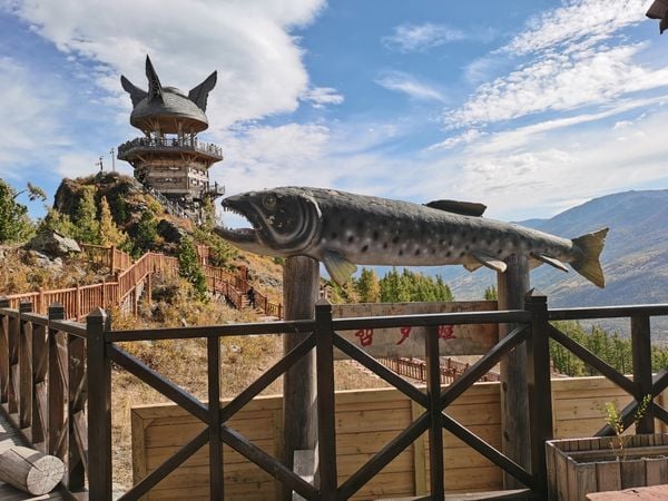  TÂN CƯƠNG 9N8Đ: MÙA LAVENDER – VỊNH NGŨ SẮC – THÁNG 6 | BAY AIR CHINA 