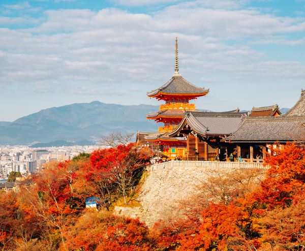  NAGOYA MONO: NAGOYA – HAKONE – FUJI MOUNT – TOKYO – NAGOYA 5N4Đ | BAY VIETNAM AIRLINES 