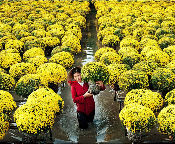  ĐỒNG THÁP – LÀNG HOA SA ĐÉC 1 NGÀY 