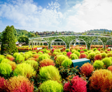  SEOUL – NAMI – EVERLAND 4N4Đ - T’WAY AIR 