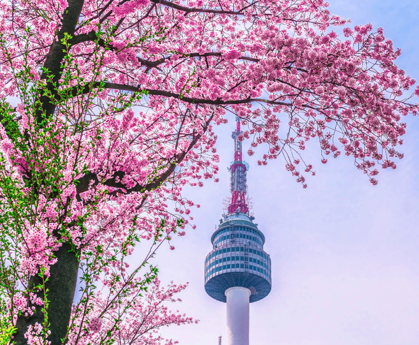  SEOUL – NAMI – LOTTE WORLD – AQUARIUM 4N4Đ | BAY T’WAY AIR 