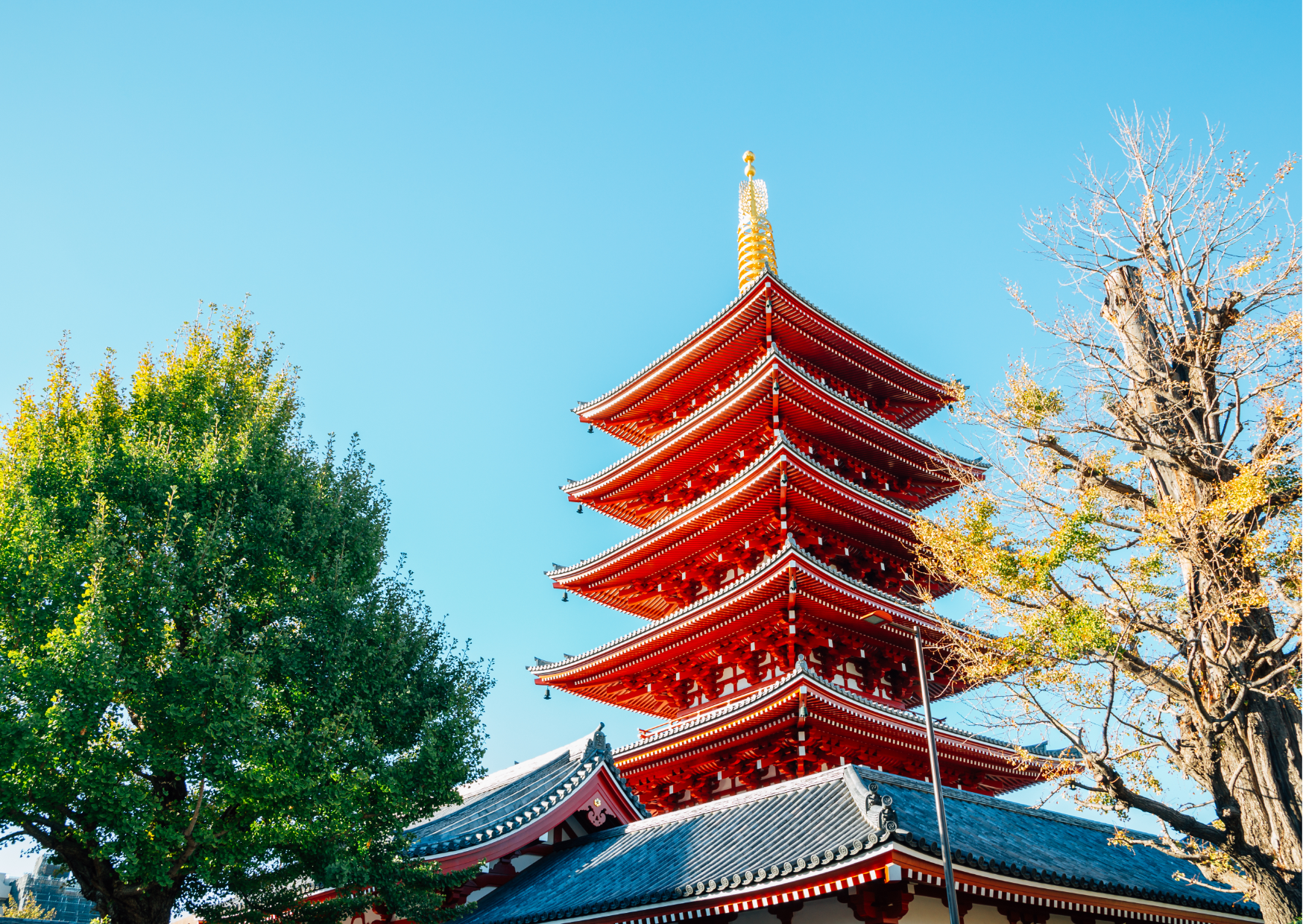  OSAKA – KOBE – KYOTO – TOKYO – FUJI – NARITA 5N5Đ 