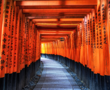  Liên tuyến Nhật - Hàn: OSAKA - KYOTO - SEOUL 