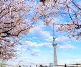  SEOUL – NAMI – EVERLAND 4N4Đ - T’WAY AIR 