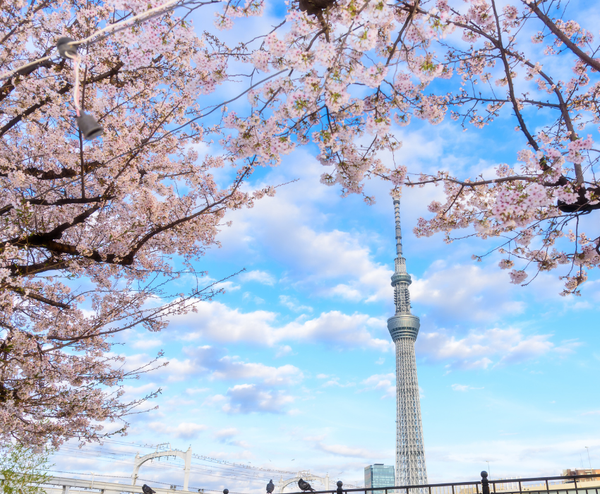  SEOUL – NAMI – EVERLAND 4N4Đ | BAY T'WAY AIR 