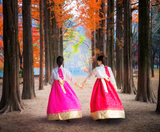  Liên tuyến Nhật - Hàn: OSAKA - KYOTO - SEOUL 