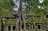  CAMPUCHIA 4 NGÀY – 3 ĐÊM: THÀNH PHỐ BIỂN SIHANOUK VILLE - CAO NGUYÊN BOKOR - THỦ ĐÔ PHNOM PENH 