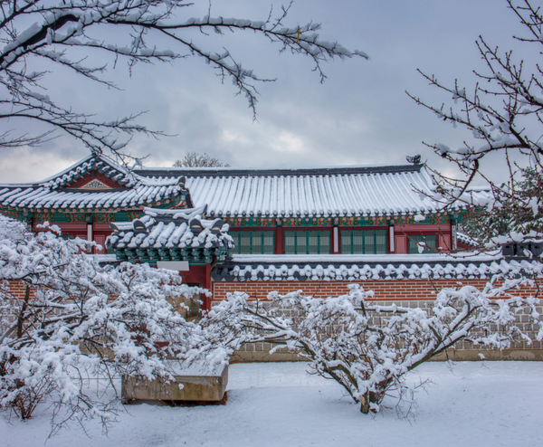  SEOUL – ELLISIAN SKI – LOTTE WORLD 4N4Đ | BAY T’WAY AIR 