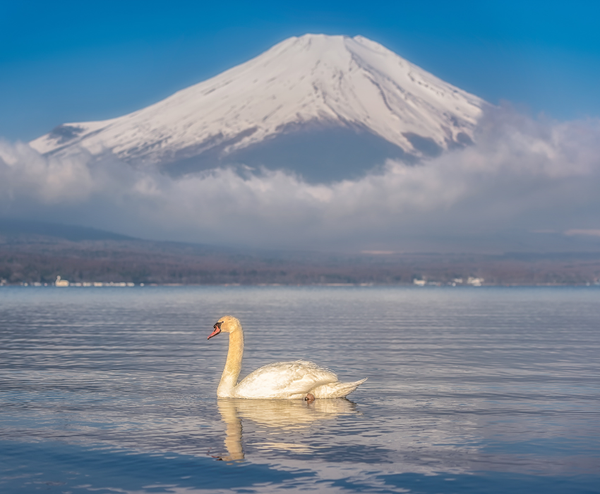  NAGOYA – HAKONE – FUJI MOUNT – TOKYO – NAGOYA 5N4Đ | BAY VIETNAM AIRLINES 