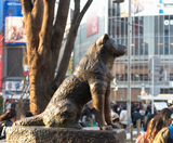  NARITA – TOKYO – YAMANASHI – FUJI – YOKOHAMA 5N4Đ VNA 