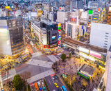  NARITA – TOKYO – YAMANASHI – FUJI – YOKOHAMA 5N4Đ VNA 