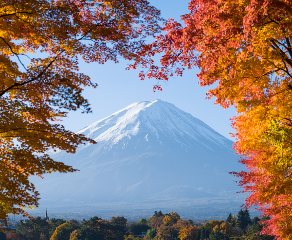  CUNG ĐƯỜNG VÀNG: OSAKA – KOBE – KYOTO–FUJI – TOKYO – NARITA 6N5Đ | BAY VIETNAM AIRLINES 