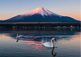  NAGOYA – HAKONE – FUJI MOUNT – TOKYO – NAGOYA 4N4Đ 