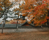  SEOUL – BIRD PARK - NAMI - LOTTE WORLD 4N4Đ - BAY T’WAY AIR 