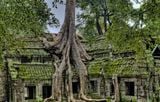  CAMPUCHIA 4 NGÀY 3 ĐÊM: SIÊM RIỆP - PHNOMPENH 