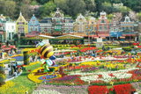  BUSAN – SEOUL - NAMI – EVERLAND 5N5Đ 