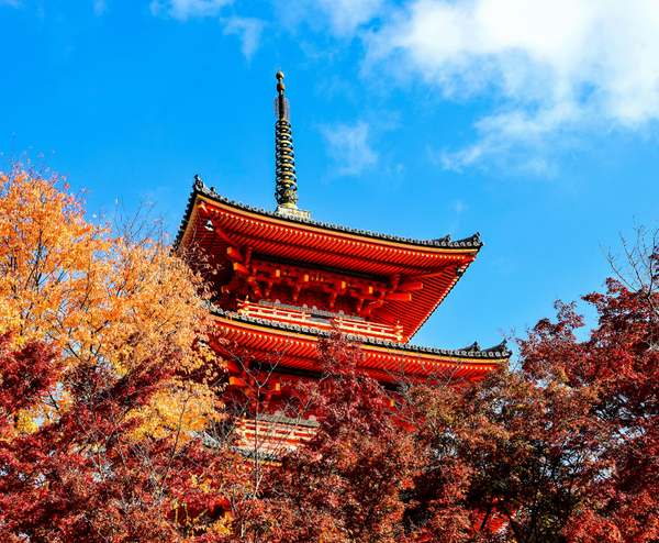  NAGOYA MONO: NAGOYA–HAKONE–FUJI MOUNT–TOKYO–NAGOYA 5N4Đ | BAY VIETNAM AIRLINES 