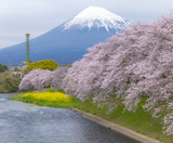  NAGOYA MONO: NAGOYA – HAKONE – FUJI MOUNT – TOKYO – NAGOYA 4N4Đ | BAY VIETNAM AIRLINES 