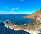  COMBO F&E : QUY NHƠN 3N2Đ (FLEUR DE LYS HOTEL QUY NHƠN – 4 SAO) 