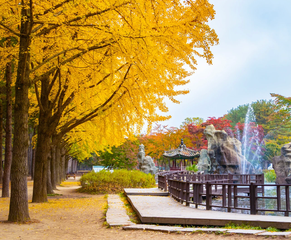  BUSAN – SEOUL – EVERLAND 5N5Đ | BAY VIETNAM AIRLINES 