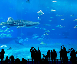  SEOUL - NAMI - AQURIUM 4N4Đ - BAY T'WAY 