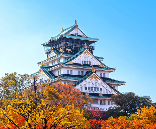  CUNG ĐƯỜNG VÀNG: OSAKA – KOBE – KYOTO–FUJI – TOKYO – NARITA 6N5Đ | BAY VIETNAM AIRLINES 