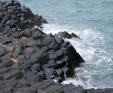  PHÚ YÊN – QUY NHƠN 3N3Đ 