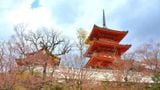  TOUR NHẬT BẢN 5N5Đ - LỄ 30/4 - OSAKA–NARA - KYOTO- FUJI- TOKYO–NARITA 5N5Đ 