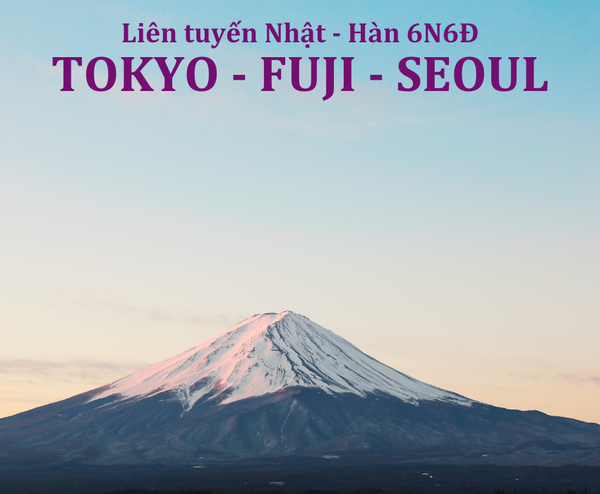  LIÊN TUYẾN NHẬT – HÀN: NARITA – FUJI – TOKYO – INCHEON – NAMI – BIRD PARK – SEOUL 6N6Đ  | BAY T'WAY AIR 