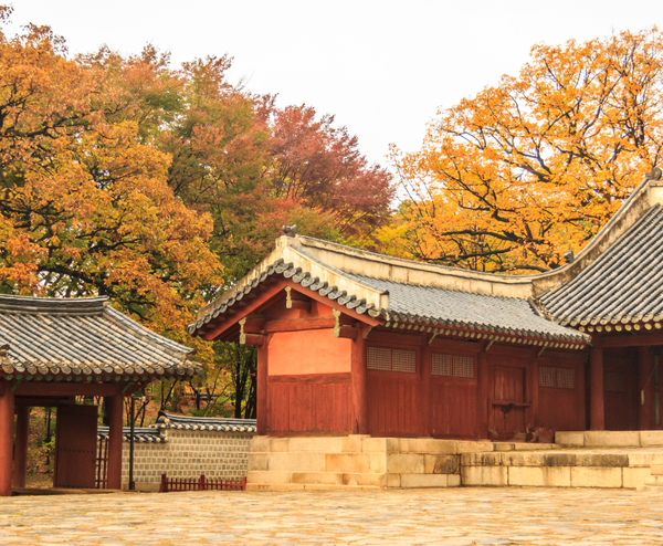  BUSAN – SEOUL – EVERLAND 5N5Đ | BAY VIETNAM AIRLINES 