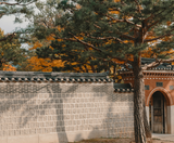  SEOUL - NAMI - AQURIUM 4N4Đ - BAY T'WAY 