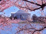  BỜ ĐÔNG HOA KỲ  “New York – Philadelphia – Washington DC – Pittsburgh  Niagara Falls – Albany - Boston 9N8Đ”  NATIONAL CHERRY BLOSSOM FESTIVAL 2024 