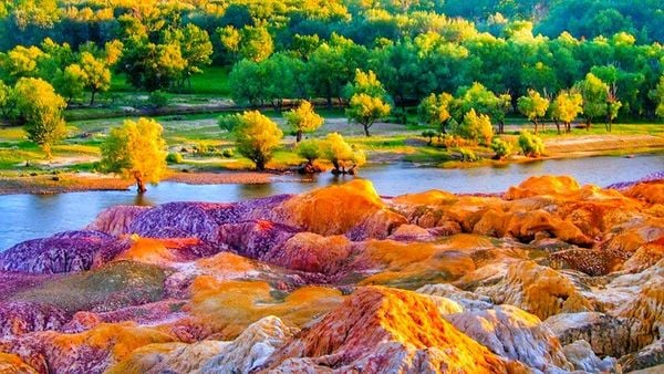  TÂN CƯƠNG 9N8Đ: MÙA LAVENDER – VỊNH NGŨ SẮC – THÁNG 6 | BAY AIR CHINA 