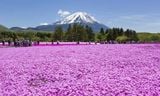  TOUR NHẬT BẢN 4N4Đ (T6,7,8): Xứ Sở Phù Tang “NARITA- TOKYO – YAMANASHI- FUJI- – YOKOHAMA'' 