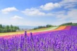  HOKKAIDO – NOBORBETSU – OTARO - SAPPORO – 5N4D 