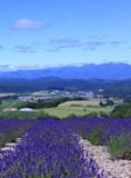  HOKKAIDO – NOBORBETSU – OTARO - SAPPORO – 5N4D 