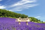  HOKKAIDO – NOBORBETSU – OTARO - SAPPORO – 5N4D 