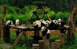  TRUNG QUỐC 7N7Đ: TRÙNG KHÁNH – ĐÔ GIANG YỂN - CỬU TRẠI CÂU – THÀNH ĐÔ 