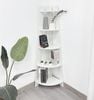Kệ Góc Đa Năng Corner 5F Gỗ MDF Màu Trắng-Vân Gỗ - GP115