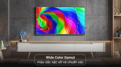 Google Tivi TCL 4K 55 inch 55P737