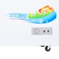 Tủ Đông Sanaky VH-2599A1, 250 Lít Dàn Đồng