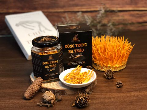  Nấm đông trùng hạ thảo khô sấy thăng hoa (Loại 10gr) 